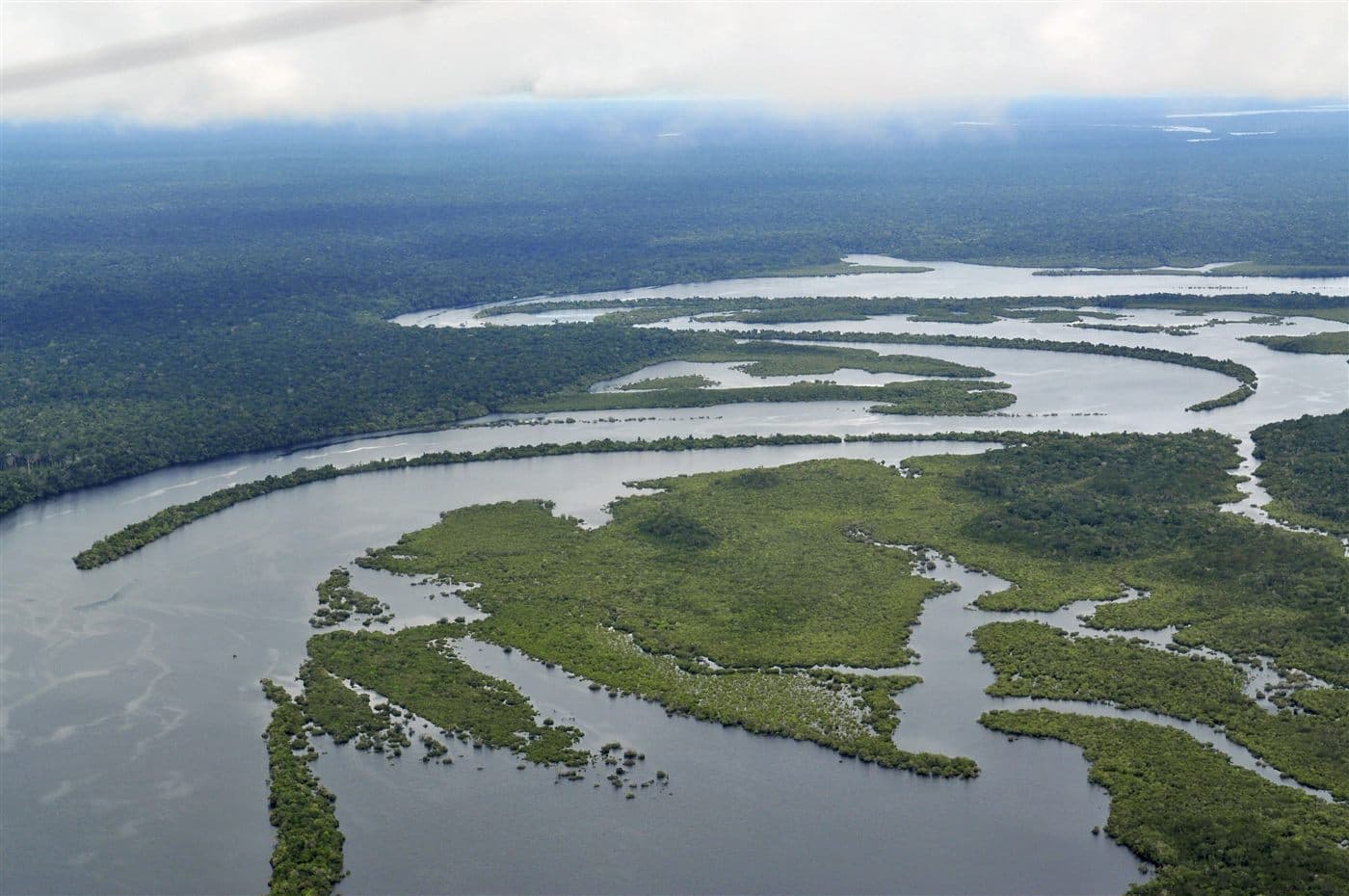 Aerial view of the Amazon rainforest with winding rivers and flooded islands of green