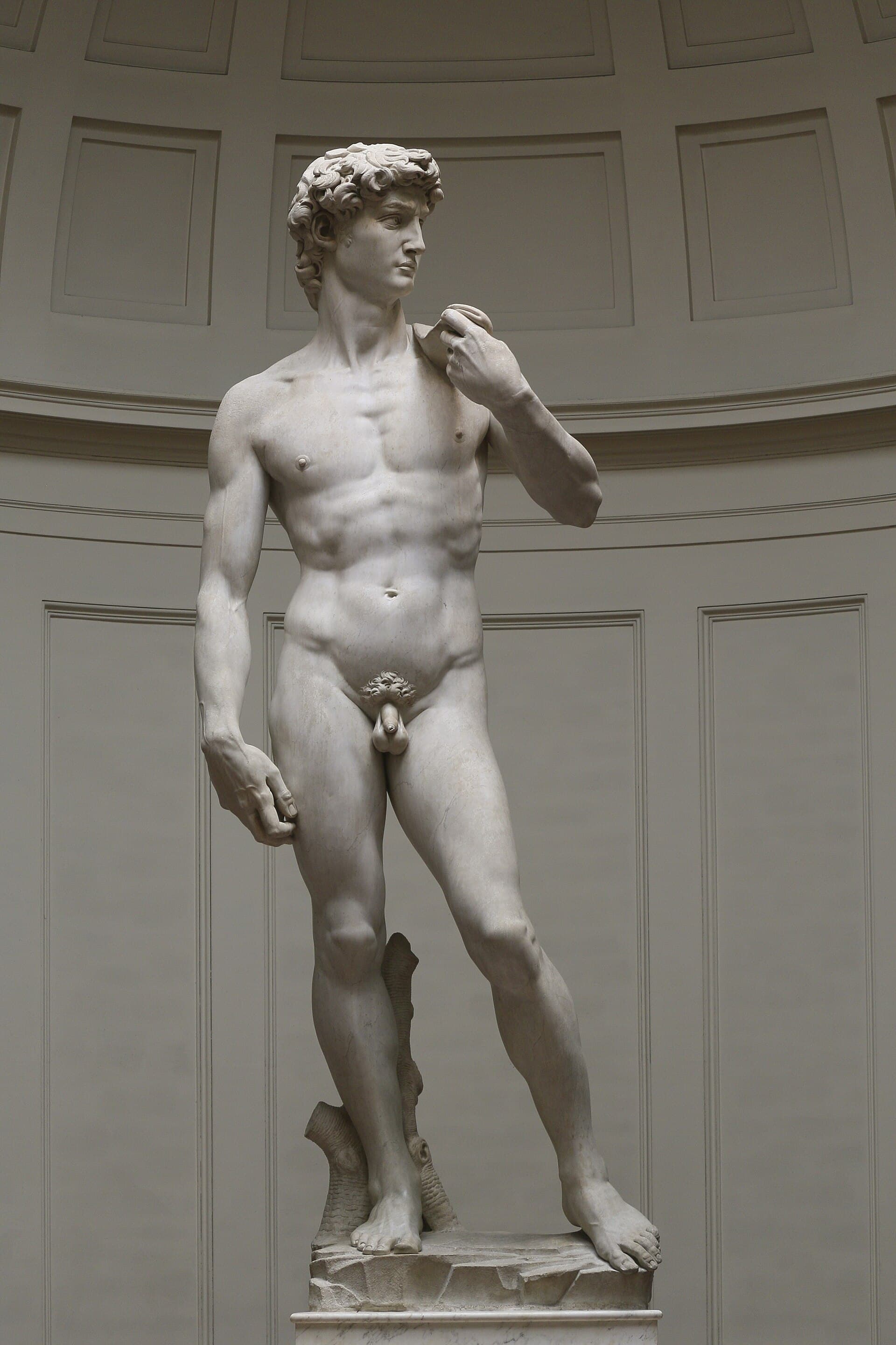 Michelangelo's marble statue of David standing in contrapposto